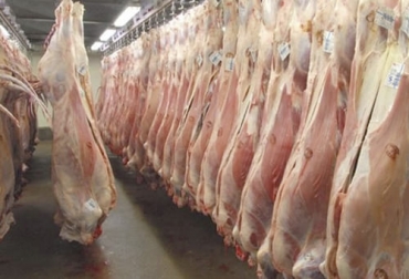 El gobierno argentino dio a conocer las disposiciones que regirán para las exportaciones de carne durante este y el próximo año, prohibiendo la venta externa de los cortes más demandados por sus consumidores. Foto: gasparbrandemann.com.ar argentina, exportación, carne, cortes, mercado interno, asado, falda, matambre, tapa de asado, nalga, paleta, vacío, reses enteras, medias reses, cuarto delantero con hueso, cuarto trasero con hueso, medias reses incompletas con hueso, cuartos delanteros incompletos con hueso, vacas, toros, China, Observatorio, Producción, evolución, composición, políticas públicas, cuota hilton, Israel, estados unidos, Colombia, comercio minorista, Ganadería, ganadería colombia, noticias ganaderas colombia, CONtexto ganade
