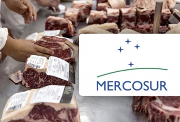 El 2022 pinta aún más favorable que 2021 para los integrantes del Mercosur en materia de exportaciones de carne. Foto: noticiasdelmundo.news - caracteristicas.co Exportaciones carne Mercosur 2022, exportaciones carne Brasil 2022, exportaciones carne Argentina 2022, exportaciones carne Uruguay 2022, exportaciones carne Paraguay 2022, comercio mundial carne, carne Mercosur, ganado bovino, ganadería bovina, carne, leche, ganaderos, ganaderos colombia, ganado, vacas, vacas Colombia, bovinos, Ganadería, ganadería colombia, noticias ganaderas, noticias ganaderas colombia, CONtexto ganadero, contextoganadero