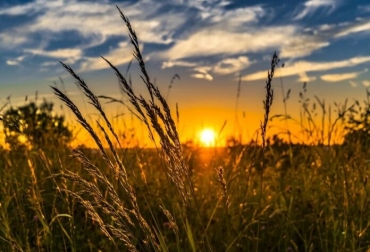 La estrategia ‘De la granja a la mesa’ se vería afectada por el conflicto entre Rusia y Ucrania. Foto: Pixabay. agricultura verde europa