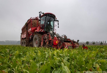 Muchos países de Europa y Asia Central dependen de Rusia para obtener más del 50 % de su suministro de fertilizantes. Foto: David Tenecek. fertilizantes rusia