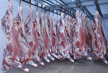 Japón solo podrá activar la salvaguardia a los envíos de carne de res de EE. UU. cuando se cumplan tres condiciones en lugar de una sola, como hizo en marzo de 2021. Foto: ganaderia.com canales de carne de res importaciones exportaciones