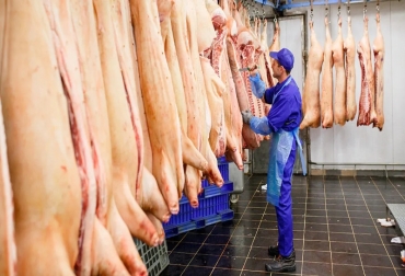 Los aspectos sanitarios han permitido que la producción de cerdo crezca de forma sostenida en el país. Foto: porcicultura.com carne cerdo méxico