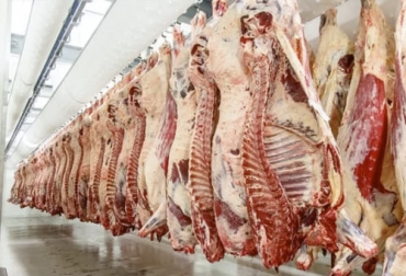 El estudio del instituto argentino IERAL arrojó que el precio de la carne para el consumidor fue más bajo en los países exportadores de carne que en el país importador Chile. Foto: precintia.com precio carne países exportadores