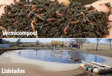 El vermicompost es una forma de aprovechar los residuos de la finca y a la vez de hacer ganadería regenerativa y sostenible. Foto: evaporadoresindustriales.grupovento.com - elhuertourbano.net Vermicompost