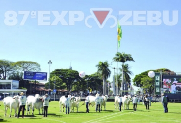 Un balance favorable de ExpoZebu 2022 presentaron los organizadores tras superar los resultados de versiones anteriores. Foto: agriculturadelasamericas.com - guicheweb.com.br Feria ExpoZebu 2022 en Brasil