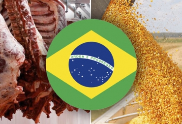 En días recientes, Brasil reportó incremento de sus exportaciones en carne, así como logró un acuerdo con China para exportar más maíz por falta de la oferta de Ucrania. Foto: themoneypost.io - sembrandonoticias.com - countryflags.com exportaciones de carne y otros productos de Brasil en 2022