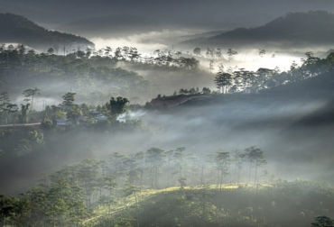 La ganadería sí trabaja en la neutralidad climática según menciona el experto, debido al proceso que realiza el metano en su reciclaje. Foto: blog.primagas.es La ganadería sí trabaja en la neutralidad climática