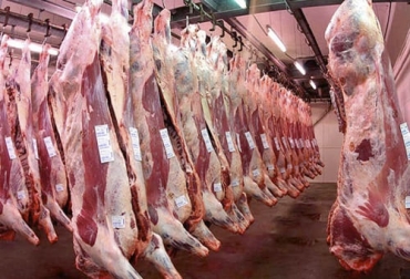 La producción de carne de Bolivia ha tenido un repunte importante en los últimos años entre otras razones por el trabajo de mejoramiento genético. Foto: perulactea.com Carne de Bolivia