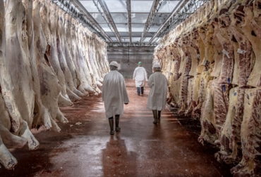 El proyecto que busca sacrificar 8000 animales/día costaría alrededor de 1100 millones de dólares sería construido en Dakota del Sur y estaría en funcionamiento en 2026. Foto: agendarweb.com.ar frigorifico o planta de procesamiento de carne bovina en Estados Unidos