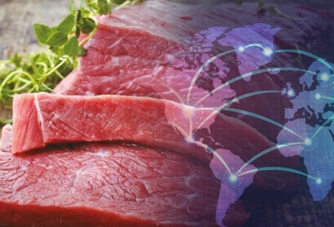 Los precios internacionales de la carne de bovino se mantuvieron estables, debido a los mayores suministros procedentes del Brasil y Oceanía (Australia y Nueva Zelanda), que fueron suficientes para satisfacer una demanda mundial persistentemente elevada. Foto: elolfato.com - comunicarseweb.com precio de la carne de res a nivel mundial