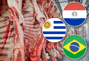 Mientras que las exportaciones de carne de Brasil y Uruguay crecieron ampliamente en 1er semestre de 2022, las de Paraguay subieron a menor ritmo. Foto: agenciabrasil.ebc.com.br - iconarchive.com - vecteezy.com exportaciones carne brasil paraguay y uruguay