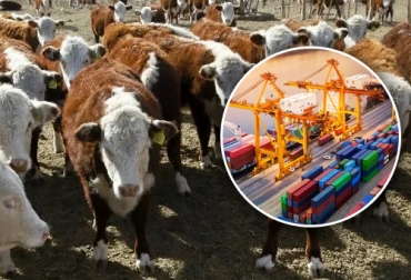 Los exportadores de carne australianos están tratando de calmar a sus clientes extranjeros respecto a las recientes noticias sobre aftosa en ese país. Foto: losagronegocios.com.uy - investopedia.com exportadores de carne de Australia