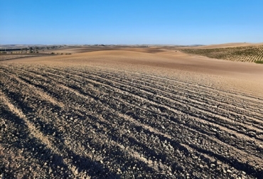 El sistema alimentario global se enfrenta a fuertes riesgos e incertidumbres derivados, en particular, de la guerra en Ucrania, donde en un futuro próximo también pueden surgir problemas de seguridad alimentaria. Foto: Agroinformación Suspenden rotación de cultivos y mantenimiento de barbechos en la CE en 2023