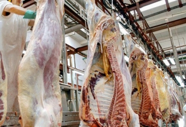 Argentina sigue mostrando buenos resultados en las exportaciones de carne, siendo China su principal mercado. Foto: tn.com.ar Carne en frigorífico