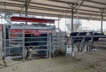 Este caso de éxito es en Argentina, donde una finca produce 19 mil litros de leche diario con robots de ordeño y 22 mil con ordeño convencional. Foto: lavoz.com.ar Finca produce 44 mil litros de leche con robots y manual