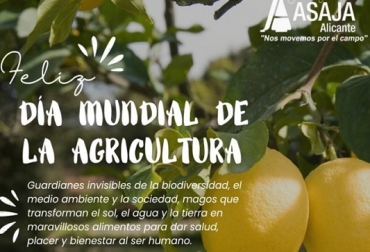 Foto: agroinformacion.com Día Mundial de la Agricultura Noviembre 9