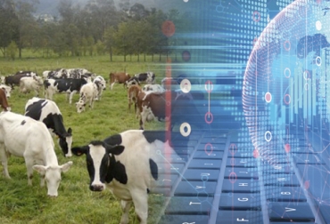 Tecnología y sostenibilidad en ganadería son claves para seguir produciendo de manera adecuada conforme a los requerimientos del consumidor. Foto: elproductor.com - computacioninteractiva.com Tecnología y sostenibilidad en ganadería