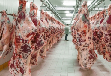 La producción de los diferentes tipos de carne baja en la Unión Europea por diversos factores como costos y clima. Foto: eurocarne.com Carne en frigorífico