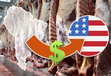 Estados Unidos no podría suplir de 400 a 500 mil toneladas de carne, ni con su producción interna ni con los envíos de países como Argentina y Brasil. Foto: Colombian Cattle S.A.S. - Wikimedia Commons argentina y brasil exportan carne a Estados Unidos