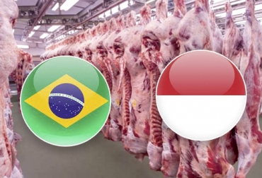 Otras 11 plantas de beneficio de Brasil, de empresas reconocidas en el sector como Marfrig y Mineva, fueron autorizadas para exportar carne a Indonesia, el cuarto país más poblado del mundo. Foto: perulactea.com - FreeFlagIcons exportaciones de carne de brasil a indonesia