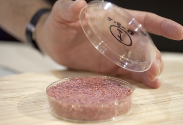 La empresa Believer Meats es una de las compañías más importantes en el sector de la carne de laboratorio. Foto: Libre Mercado carne de laboratorio