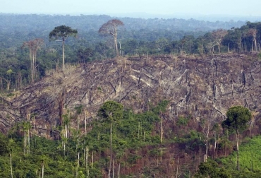 Imagen de noviembre de 2009 de una zona ilegalmente deforestada del estado de Pará, en el norte de Brasil © AFP/Archivo antonio scorza Amazonía deforestación