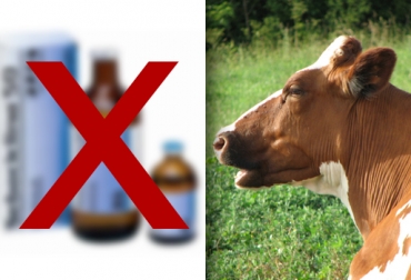 Europa, Estados Unidos, Perú, Argentina y Colombia restringen el uso de antibióticos en vacunos. Foto: COntexto Ganadero. antibióticos en animales