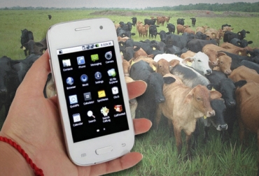Las aplicaciones agropecuarias para móviles pisan fuerte en el mundo entero. Foto: CONtexto Ganadero. app agropeacuaria