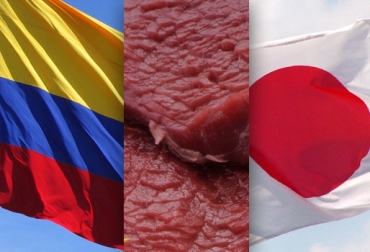 La cuarta ronda de negociación con Japón se cumplió en febrero. El próximo encuentro será a finales de marzo. Foto: CONtexto Ganadero. negociaciones Colombia Japón