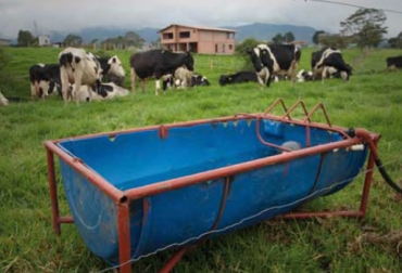 Las ganaderías pueden ahorrar agua y energía. Conozca las recomendaciones. Foto: CONtexto Ganadero. ganadería sostenible