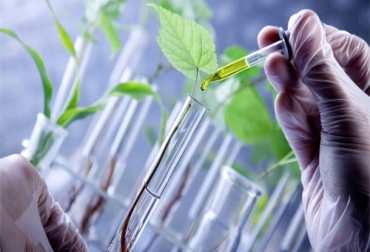 El evento, llamado “La semana de la Biotecnología y la Bioseguridad” se desarrollará con el propósito de dar a conocer los conceptos básicos sobre biotecnología. Foto: Universidad Javeriana. Biotecnologías en el mundo