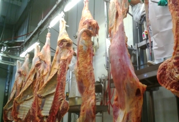 La industria de la carne ovina se fortalece cada vez más en Colombia. Foto: CONtexto Ganadero. carne ovina Colombia Uruguay