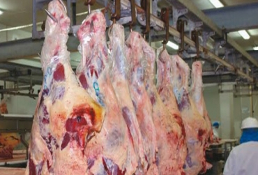 En 2012 Colombia exportó a Rusia 184,89 toneladas de carne de bovino. Foto: CONtexto Ganadero. exportaciones de carne bovina a Rusia