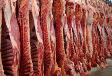Las ganaderías de carne de Colombia y México buscan consolidarse en 2014. Foto: CONtexto Ganadero. retos de la ganadería