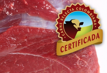 Promocionar carne con valor agregado es la apuesta del sector ganadero de Colombia. Foto: CONtexto Ganadero. carne orgnánica