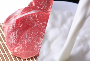 Venezuela es el 'mercado natural' de Colombia, pero no el más óptimo. Foto: CONtexto Ganadero. demanda de lácteos y carne