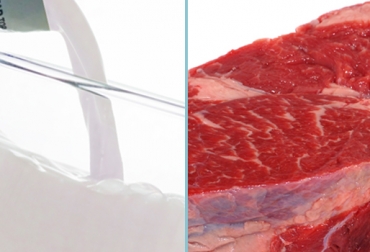 Colombia produce más de 6.000 litros de leche y 900 toneladas de carne bovina al año. Foto: CONtexto Ganadero. producción de leche y carne en Colombia y Venezuela