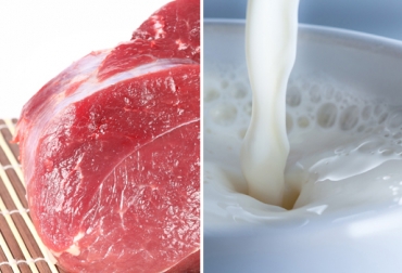 Estados Unidos es el país que más carne y lácteos importa a Colombia. Foto: CONtexto Ganadero. importaciones de carne y lácteos Colombia