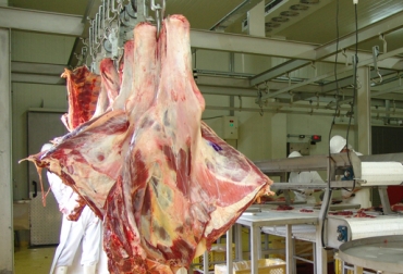 En Montería también se realizará la Semana Nacional de la Carne del 25 de noviembre al primero de diciembre. Foto: CONtexto Ganadero.