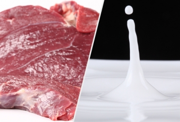 Las exportaciones de lácteos y carne bovina aumentaron en 2013 comparadas con las de 2012. Foto: CONtexto Ganadero. Exportaciones de carne y lácteos a Colombia