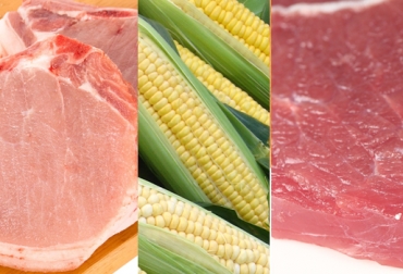 TLC con Estados Unidos afecta al sector agropecuario de Colombia. Foto: CONtexto Ganadero. importaciones de carne y lácteos Colombia