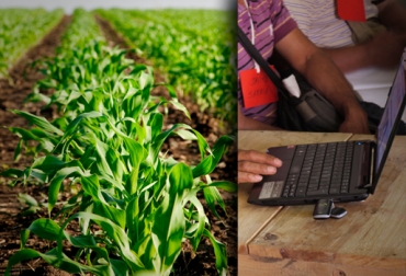 El software está disponible en 31 países. Foto: CONtexto Ganadero. AgroWin