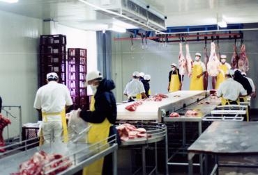 El tema de la carne de caballo sigue generando problemas en Europa. Foto: AFP Frigorífico