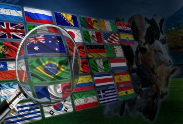 CONtexto ganadero presenta 32 datos que usted posiblemente no sabía de los países que participan en el Mundial de Fútbol. Foto: CONtexto ganadero. curiosidades ganaderas