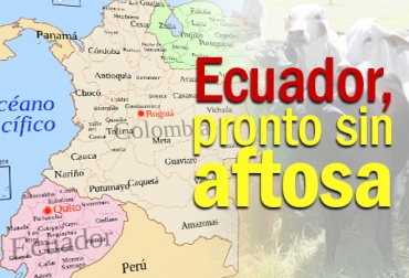 Ecuador entregará los últimos documentos a la OIE para conseguir la certificación de país libre de fiebre aftosa con vacunación. Foto: CONtexto Ganadero. fiebre aftosa vacuna