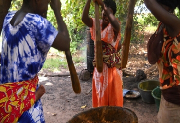 Dentro de las iniciativas en curso se encuentra el proyecto “África sin hambre” que arrancará en 4 países. Foto: FAO FAO por un mundo sin hambre