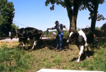 Los productores tienen una expectativa negativa para este año. Foto: CONtexto Ganadero. Productores en Argentina