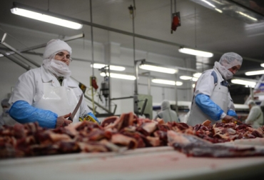 Ganaderos paraguayos empezarán a recibir sus pagos en dólares por parte de las empresas frigoríficas. Foto: AFP Frigorífico Paraguay