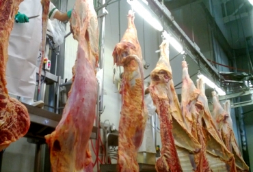 La industria frigorífica de Uruguay, una de las más destacadas en Latinoamérica. Foto: CONtexto Ganadero. certificación de frigoríficos