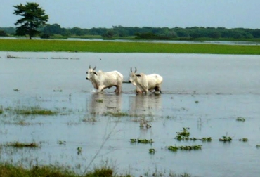Bolivia y Argentina son los países de la región más afectados por las lluvias. Foto: CONtexto Ganadero. invierno en Suramérica